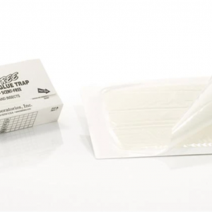 Pest Glue Trap